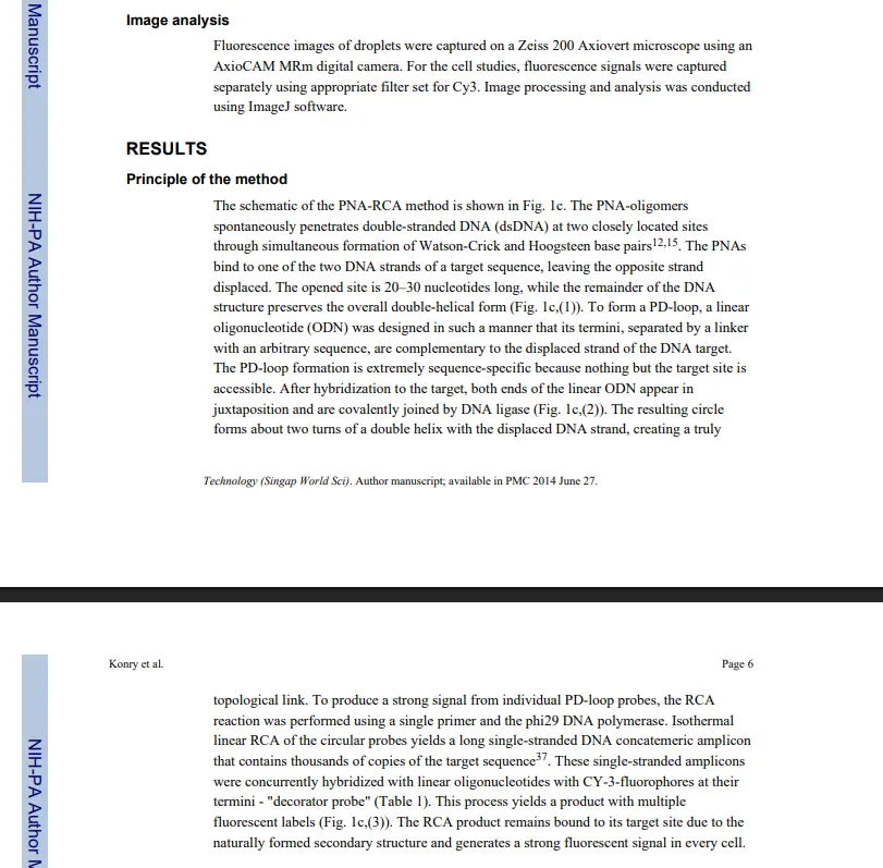 Risultati dell’esperimento