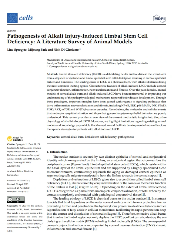 Patogenesi delle cellule staminali limbari (LSCD), vie di segnalazione, cellule staminali, deficit di cellule staminali limbari